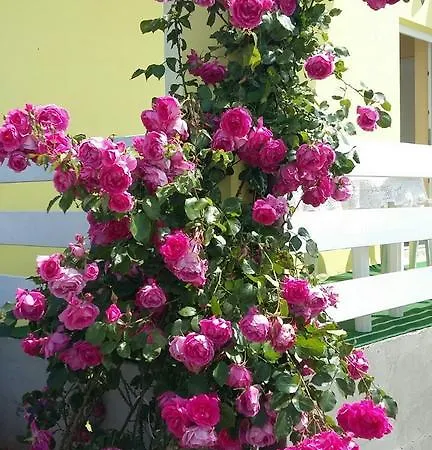Apartmán One-bedroom In Valbandon Viii Štinjan